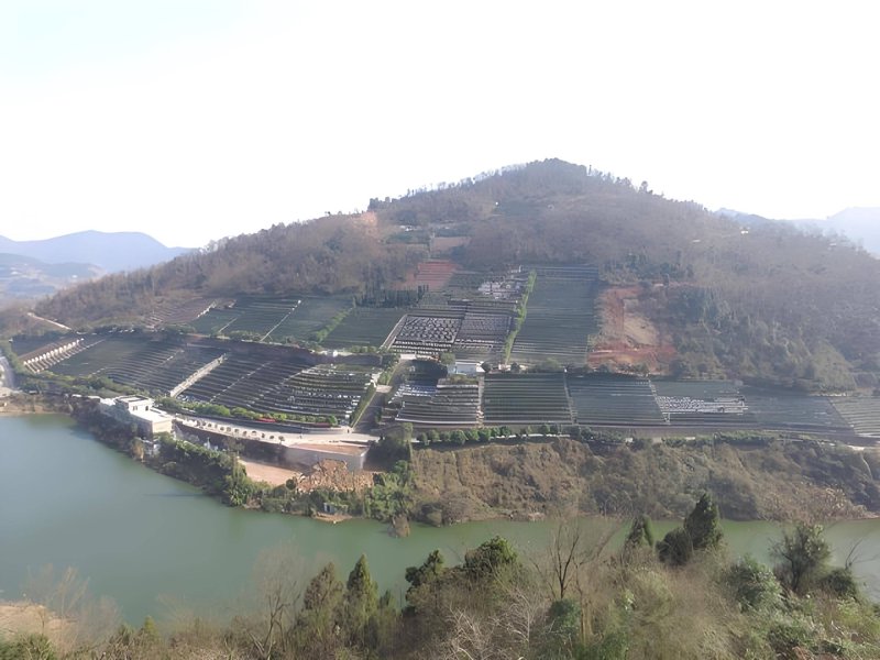 陵园，一个承载着无数回忆与情感的地方。在四川成都市，有这样一片静谧之地——成都龙凤墓园。它不仅是一个安放逝者灵魂的场所，更是一座充满温情与关怀的精神家园。