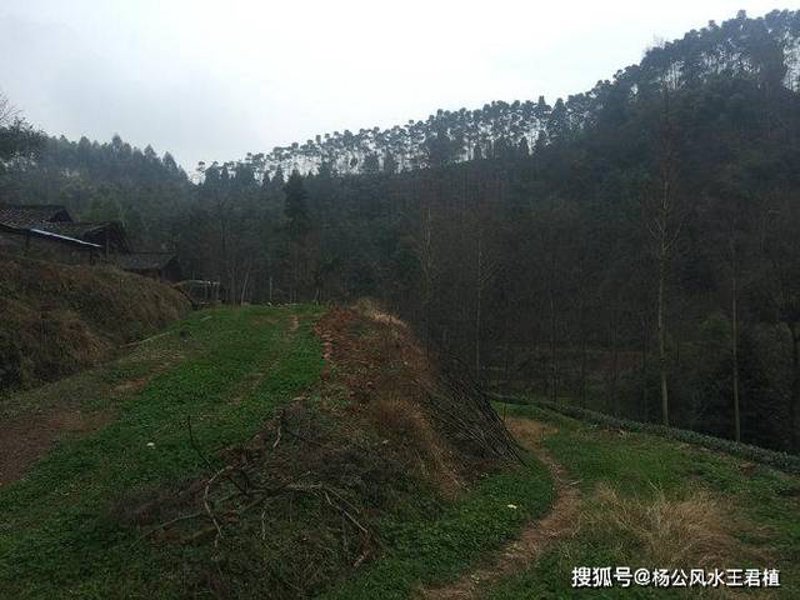 成都墓地价格：一场生死之间的经济考量