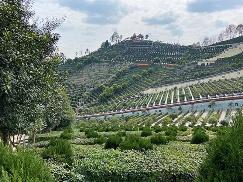 成都市公墓指南：如何选择最适合的安葬地点