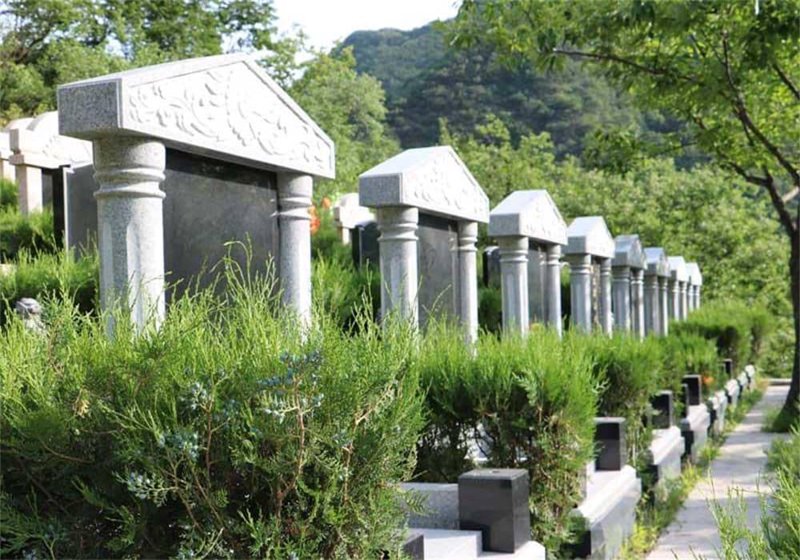 在寻找安放心灵的场所时，成都的墓地市场成为了许多人关注的话题。今天我们就来聊聊关于成都墓地价格的一些细节。